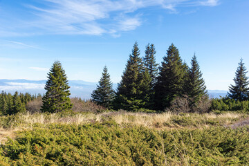 Autumn Landscape of Vitosha Mountain, Bulgaria