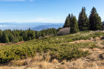 Autumn Landscape of Vitosha Mountain, Bulgaria