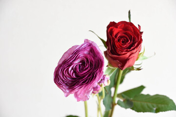 ラナンキュラスとばら