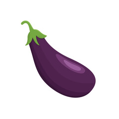 Eggplant isolated on white, vector illustration