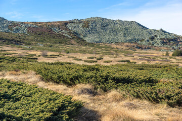 Fototapeta premium Autumn Landscape of Vitosha Mountain, Bulgaria