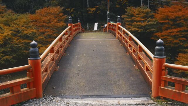 世界遺産・高野参詣道京大坂道「不動坂・極楽橋の紅葉」和歌山県高野町