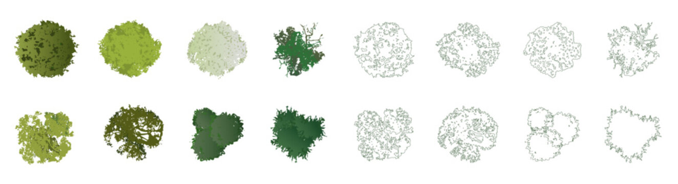 Vector view of trees in hand-drawn top view, isolated on a white background, for landscape and architectural projects, environmental and garden elements.
