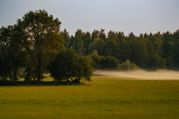 Colourful autumn landscape in the forest during sunset