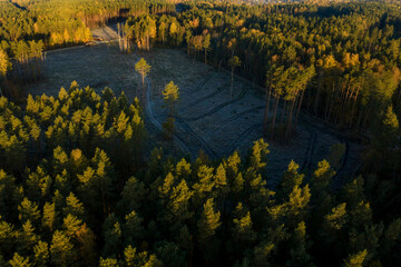 Aerial capture of a colourful autumn landscape in the forest during sunset