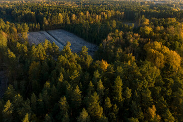 Aerial capture of a colourful autumn landscape in the forest during sunset