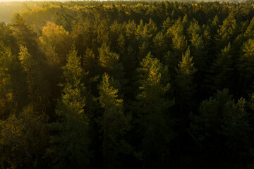 Aerial capture of a colourful autumn landscape in the forest during sunset