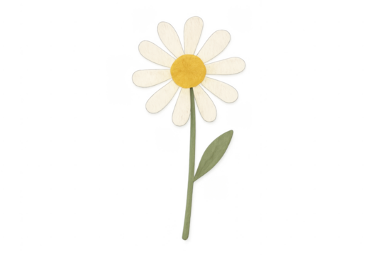 Cute daisy flower drawing on transparent background