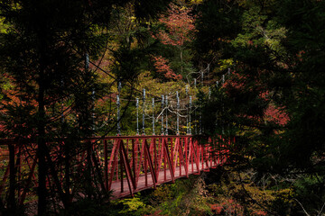 紅葉のべふ峡（別府峡谷の赤い吊橋）