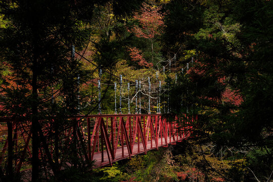 紅葉のべふ峡（別府峡谷の赤い吊橋）