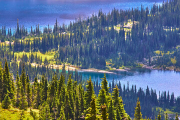 Hidden Lake Trail Alpine Forest and Blue Water in Mountain Wilderness