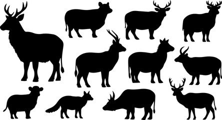 Delicious homemade chocolate chip cookies cooling on a wire rack indoors