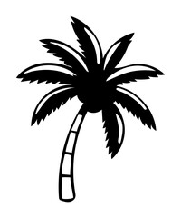 palm tree silhouette