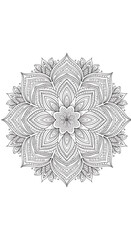 Intricate vector mandala design symmetrical geometric nature patterns black white