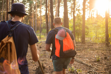 two travellers  with backpacks hiking into the woods at sunset forest