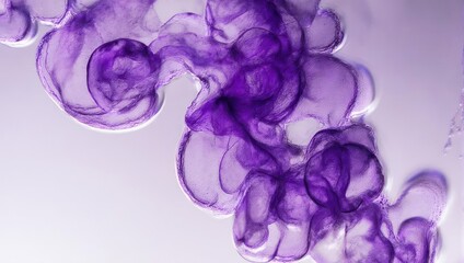 Abstract Purple Ink Cloud in Clear Liquid, Artistic Background.