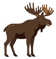 Brown Moose with Antlers flat vector