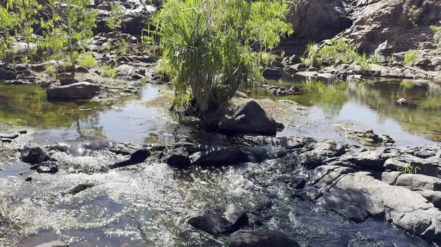 beautiful landscape around edith falls, nitmiluk, near Katherine in the outback of the Northern Territory of Australia, a popular travel destination.