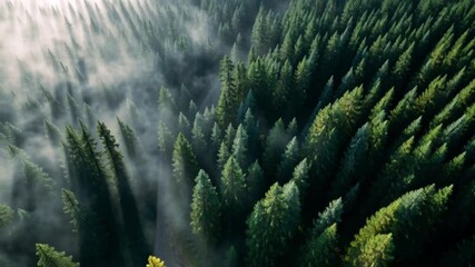 Abstract 4K 3D render seamless loop animation of a futuristic AI metallic sphere or orb technology background with reflections and glowing lights - Powered by Adobe