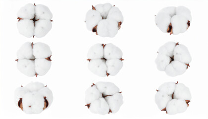 A Close-Up Grid of Natural Cotton Bolls Showcasing Their Fluffy Texture and Organic Form