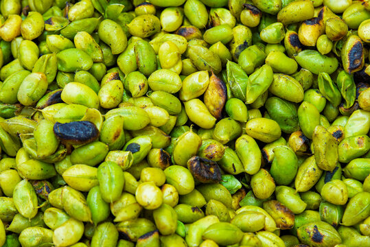 guasanas, cocinando, calle, alimento, botana, verde, verduras, fresco, chicharos, organica, salubre, fruta, agricultura, pimiento, vegetariana, ingrediente, mercado, alubia, madura, semilla, naturalez