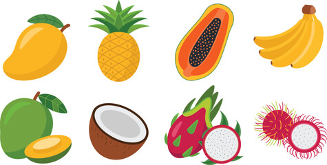Tropical fruits vector illustration, colorful exotic fruit collection with mango, pineapple, papaya, banana, coconut, dragon fruit, and rambutan for healthy design