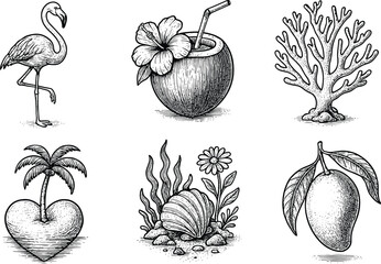 Hand-drawn tropical vintage illustration set with flamingo coconut drink coral heart island seashell and mango fruit