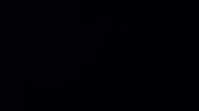 Adobe Stock Logo Animation
