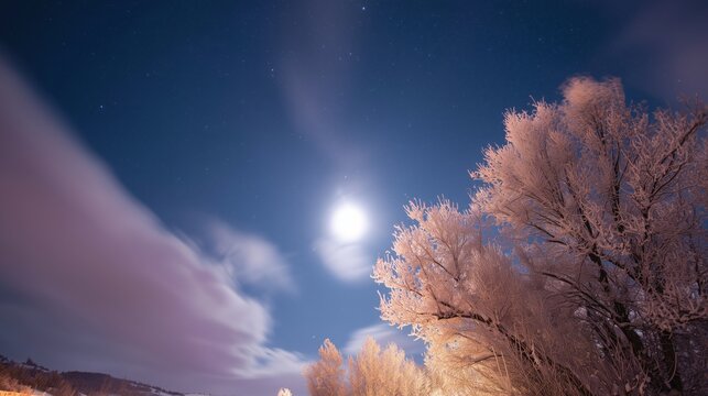 serene winter sky captured in long exposure snowy time lapse photography