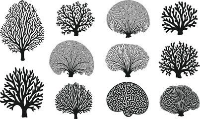 Sea fan and coral silhouettes set, gorgonian reef plants vector, underwater ocean flora icons, black botanical shapes, tropical aquarium decoration illustration © jamiul