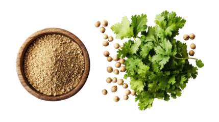 Fresh cilantro bunch and coriander seeds in wooden bowl isolated on transparent background