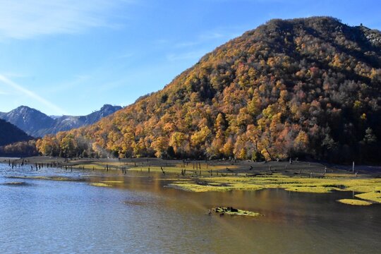 Laguna Verde Oto&ntilde;al en el Parque Nacional Conguillio, sur de Chile.

