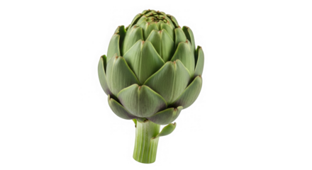 Fresh green artichoke vegetable isolated on transparent background