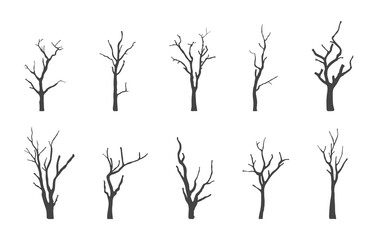 Collection of bare tree silhouettes, Bare tree svg, Bare tree black silhouette, Bare tree drawing. 