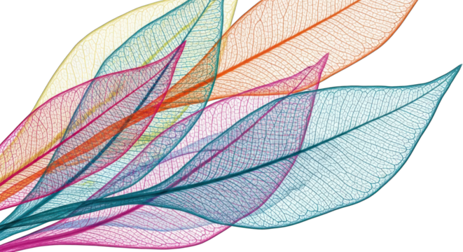 Colorful Skeleton Leaves Abstract Background.