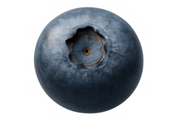 Single blueberry highlighting fresh fruit, food, and healthy eating concepts, presenting a macro view with a transparent background