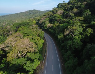 Serene highway winding through lush green forest canopy, offering a picturesque drive in nature