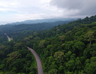 Aerial view of a winding road through a vast, dense tropical rainforest, with lush green canopy stretching to distant mountains under a cloudy sky