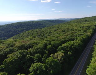 Aerial Vista of Green Forest and Mountain Range Along a Road