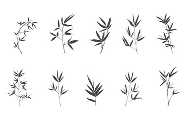 Bamboo branch silhouettes, Bamboo branch svg, Bamboo branch vector, Bamboo branch drawing. 