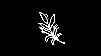 Elegant white botanical illustration of a leaf branch on a black background, ideal for design purposes
