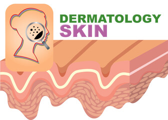 Skin dermatology visual