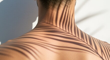 Sunlit back of a person with the shadow of a tropical palm frond in warm lighting