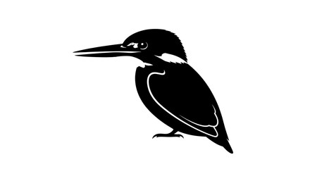 Silhouette of a bird isolated on white