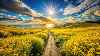 Golden Hour Path Through a Vibrant Yellow Wildflower Meadow Leading to a Calm Ocean Under a Sunlit Sky