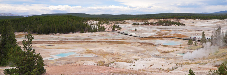 Panoramic view of Norris Geyser Basin in Yellowstone National Park, USA