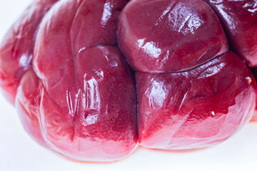 Cow kidneys on a white background