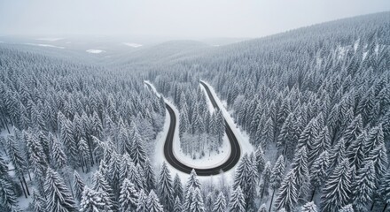 Aerial view of winding road through dense snowy pine forest during winter season.