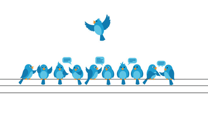 Blue birds on a wire with speech bubbles symbolize social media communication and community interaction, with one bird flying above.