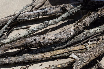 Broken branches on a street in Rio de Janeiro.